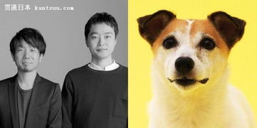 汪星人的住房需求，你懂嗎？電影攝制服務(wù)的視角